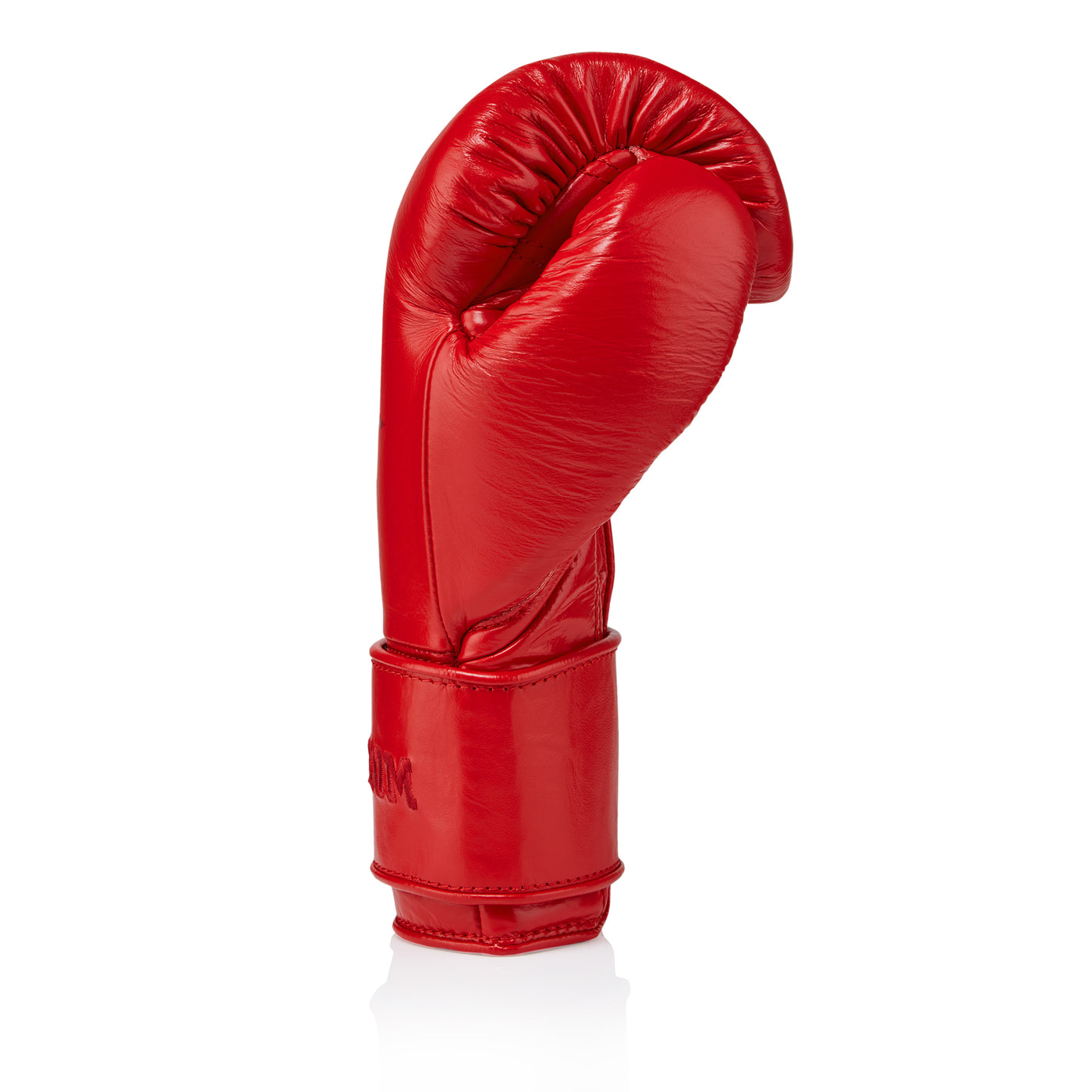 SG-210S Sparring Gloves